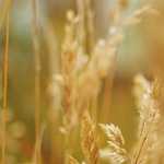 Is Portugal Safe for Tourists